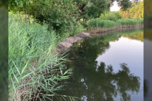 Trečiadienį sekti pradėjęs Buivydiškių I-asis tvenkinys dėmesio vis dar nesusilaukė: vandens lygis nukritęs daugiau nei 1 m