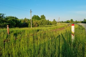 Per parą pasienyje su Baltarusija sulaikytas 31 nelegalus migrantas