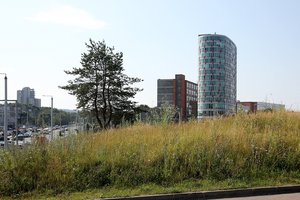 Sostinės veidu tapo ir nešienautos erdvės: savivaldybė tikina sulaukusi pagyrų