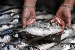 Perkant šaldytą žuvį turguje nepamirškite paprašyti parodyti termometrą – skaičiai gali nustebinti