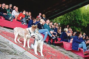 Nemokamos filmų peržiūros netradicinėje Vilniaus erdvėje prasideda jau šiandien