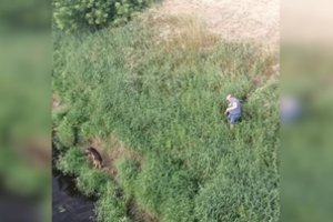 Kėdainietė nepaliko šuns žiauriai mirčiai