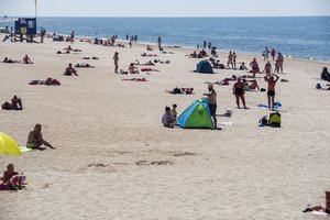Įspėja pajūrio poilsiautojus – paplūdimį užplūdo vabzdžiai
