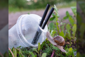 Rūšiavimo nepamirškite ir per atostogas: patarė, kaip tai daryti paprasčiau