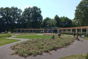 Kėdainiečiai sunerimo dėl miesto parko gėlynų:  ar išgyvens rožės dėl atsiradusių problemų