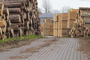 Lietuvos rinką atradę latviai kaišioja pagalius į ratus – sukėlę kainas medieną išsigabena pas save