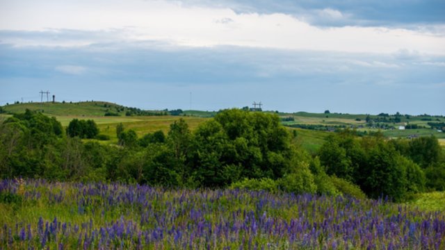 Laukia naujas karščio smūgis – vės nebent įsibėgėjus ateinančiai savaitei