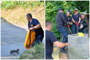 Iš gilaus šulinio kačiukus vadavo ugniagesiai: „Įmetė kokie niekšeliai“ 