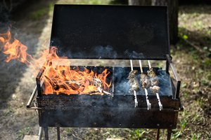 Primena su ugnimi elgtis atsargiai – iškyla gali baigtis nelaime