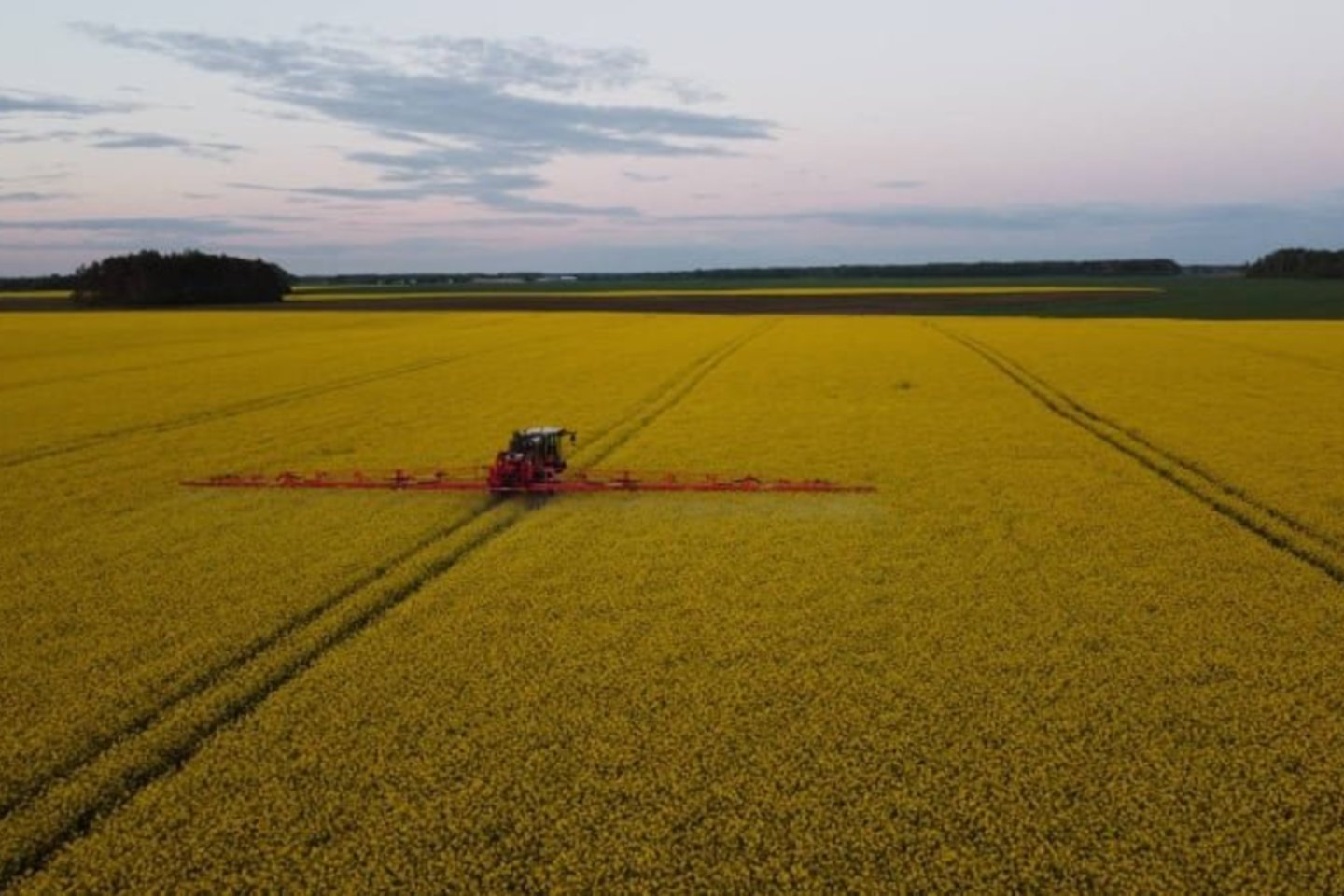 Įdomu, kad Lietuvos ūkiuose rastų užterštų ėminių dalis yra panaši, kaip ES ekologiniuose ūkiuose, kur tam tikri pesticidai apskritai neturėtų būti naudojami: 1,3 proc. jų ėminių yra užteršti – viršijamos didžiausios leistinos pesticidų koncentracijos normos.