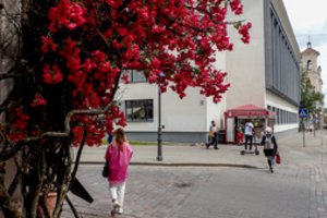 Profesoriaus perspėjimas: tikėtina, kad jau penktadienį atsibusime geltonoje COVID–19 zonoje