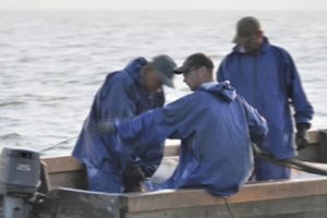 Užfiksavę įtartiną Kuršių marių žvejų elgesį sulaukė keiksmažodžių ir grasinimų: supykę net apmėtė žuvimi