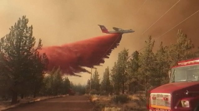 Pragarą Žemėje primenantys vaizdai: miškų gaisrai siautėja 11 valstijų