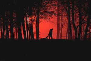 Istorija kaip iš kraupiausių detektyvų: paties žudiko parašyta knyga gali jį pasiųsti už grotų