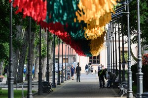 Lietuvoje jau ruošiamasi naujam referendumui: pabrėžia, kad turi būti atiduota skola