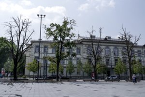  120 metų liepoms Lukiškių aikštėje atėjo paskutinioji, bet valdininkai nepasiduos – gaivins jas dar kelerius metus 