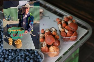 Turguje – nuo šviežio burokėlio iki mėlynių: neslėpdami pasakė, kiek prisiduria prekiaudami