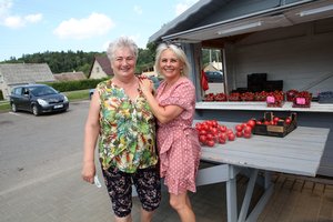 Gyvenantiems Kaune kaimynai pavydi ne tik zoologijos sodo, bet ir dėvėtų drabužių parduotuvių