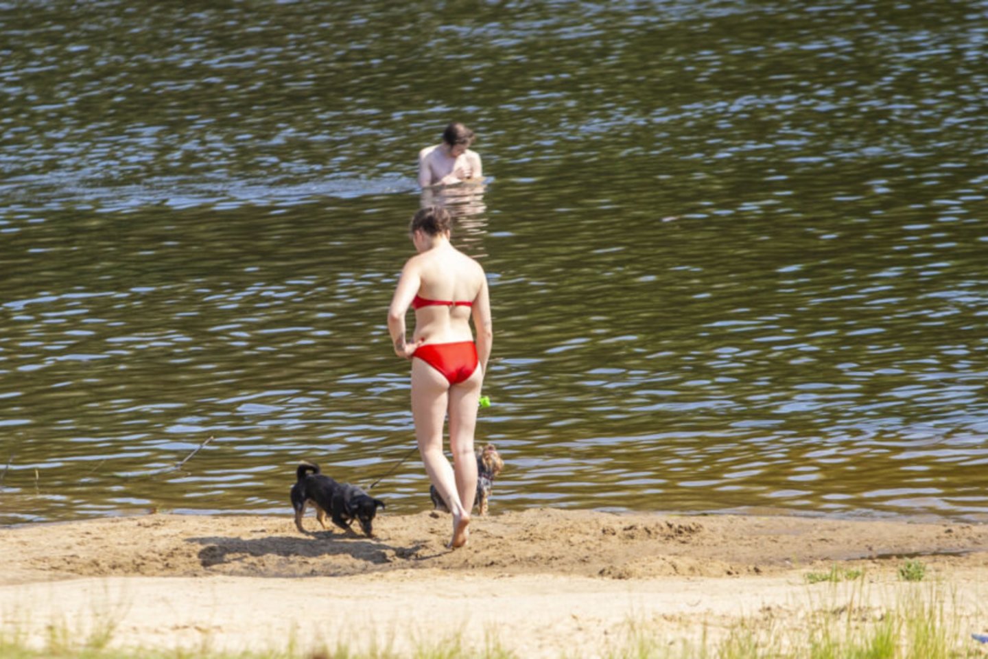 Kėdainių rajono savivaldybėje nėra nei vienos maudymvietės, kurioje būtų galima poilsiauti ir maudytis su šunimis.<br>Rinkosaikste.lt/Ernestos Čiučiurkaitės nuotr.