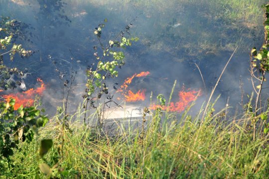 Biržų rajono laukuose liepsnojo šiaudų rulonai