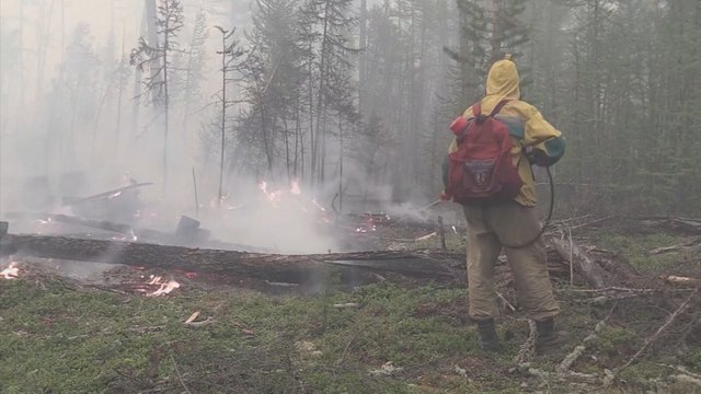 Sibire įsisiautėjo siaubingi miško gaisrai: daugiau nei 50 miestų paskendo dūmuose