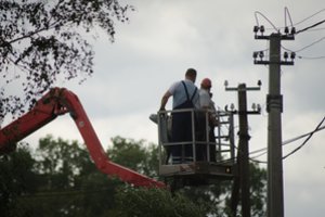 Supaprastinta elektros tinklų apsaugos zonos priežiūra: galės būti šalinami grėsmę elektros laidams keliantys medžiai
