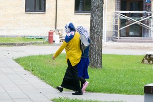 Pirmadienį pasienyje su Baltarusija sulaikytas 41 neteisėtas migrantas