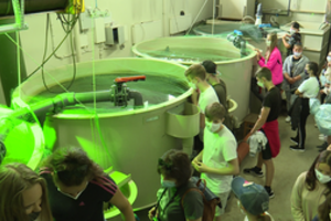 Akvakultūros technologas – reta ir egzotiška profesija