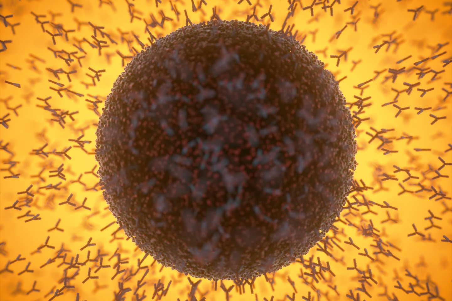  Koronaviruso antikūnai išlieka organizme „mažiausiai“ devynis mėnesius po infekcijos, teigia Londono imperatoriškasis koledžas ir Padujos universitetas.<br> 123rf iliustr.