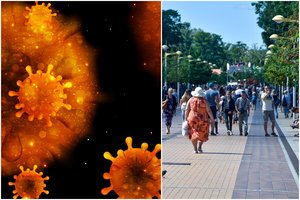 Lietuvoje viso jau nustatyti 84 Delta atmainos atvejai