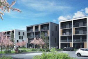 Naujakurių pamėgtame sostinės rajone suplanavo naują gyvenvietę – pavadinime užkodavo pagrindinę idėją