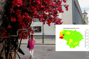 Lietuvos COVID-19 žemėlapis po truputį tamsėja: į raudoną zoną pateko dar dvi savivaldybės