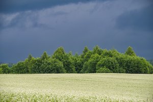 Nuo 2023-iųjų žemės ūkiui – nauji reikalavimai