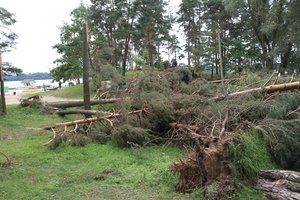 Apžiūrėjo savaitgalio audros padarytą žalą: medžiai išlaužyti didesniame nei 100 hektarų plote