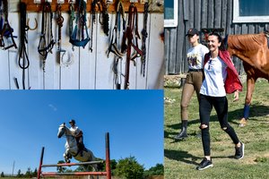 Biržuose įsikūrusi žirgų augintoja atskleidė, kam niekada neparduotų ristūno