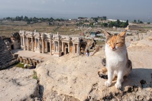 Turkijoje nuo vaizdo atėmė žadą: „Ilgai stovėjau ir negalėjau fotografuoti“