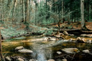 Neatrasta Lietuva: 4 įsimintinos vietos Trakų rajone