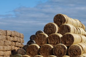 Po žaibo kirčio supleškėjo 60 tonų šiaudų