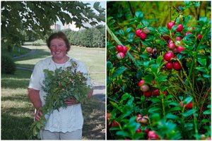 Žymi žolininkė patarė, kokius augalus derėtų vartoti kiekvienam: auksą sveikatai galima rasti ir pakelėse