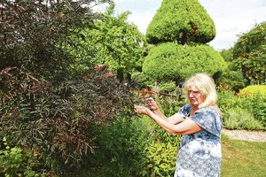 Kaunietė norėjo kuo mažiau dirbti, todėl užterštoje žemėje kūrė kitokius gėlynus – jos pavyzdžiu pasekė ir kaimynai