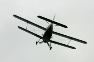 Lėktuvą Pociūnuose pagrobęs padangių erelis – medikų globoje: vargu, ar dar peržengs klubo slenkstį