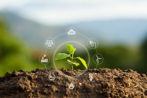 Klimato kaita ir aplinkosauga: kaip dirbtinis intelektas gali padėti išsaugoti planetą?