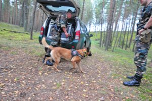 VSAT: sulaikytas dar 131 migrantas, vienas puolė pasieniečių tarnybinį šunį