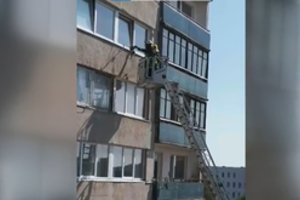 Ugniagesiai Vilniuje gelbėjo 10-to aukšto lange įstrigusį katinėlį: galėjo virsti mirtinais spąstais