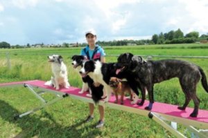 Gabija įgyvendino savo svajonę – Vilkaviškio rajone atidarė šunų dresavimo aikštelę