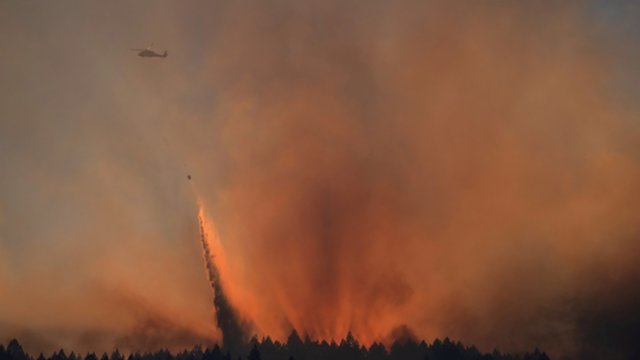 Ugniagesiai kovoja su išplitusiais gamtiniais gaisrais: jau skaičiuojami katastrofiški nuostoliai