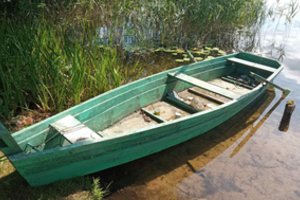 Aplinkosaugininkus pribloškė įžūlus brakonierius: paprastai nuo mūsų slepiasi, šis ėmėsi kitos taktikos