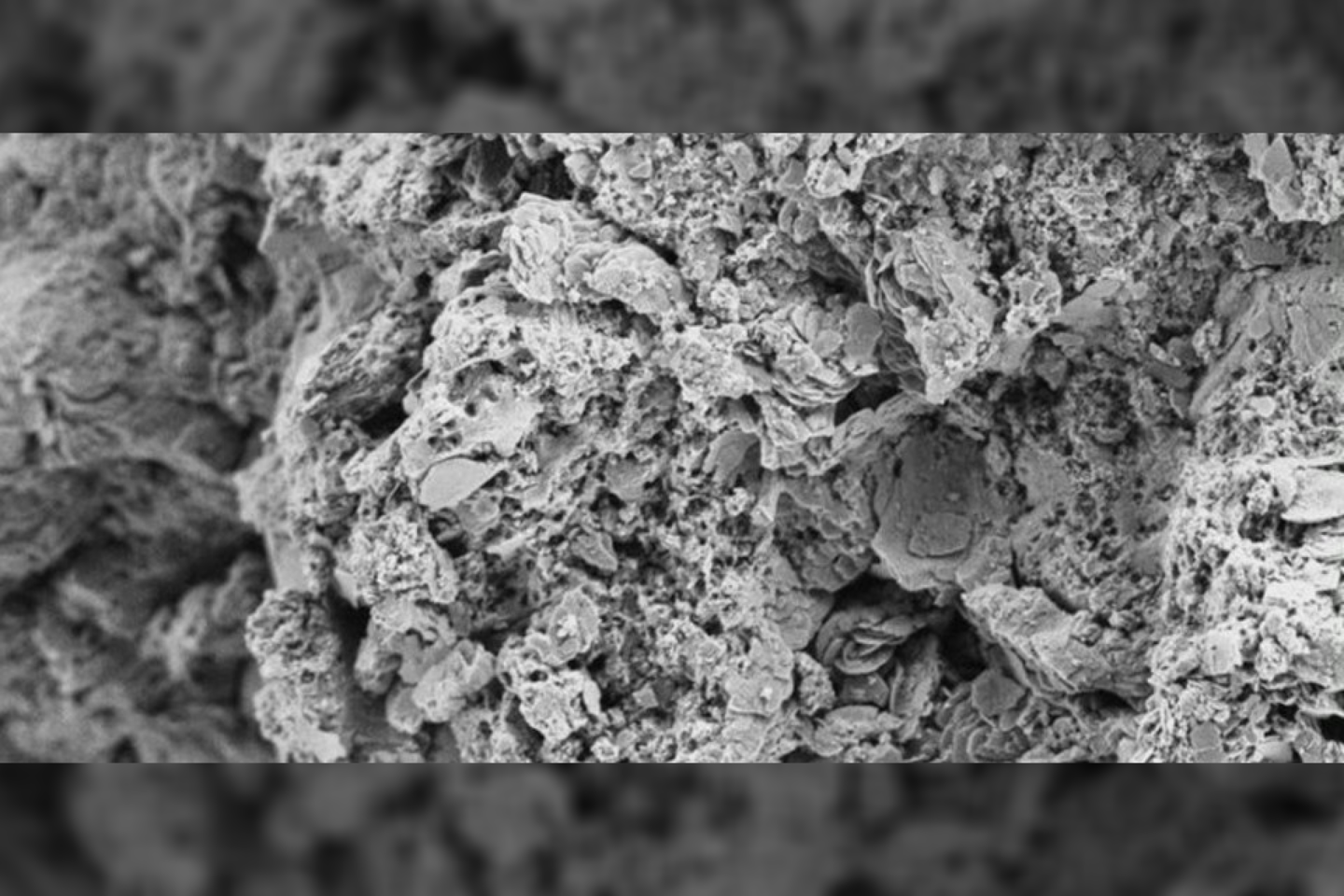  10 000 kartų priartinimas atskleidžia lapus primenančias vidines meteorito struktūras.<br> Loughburougho universiteto nuotr.
