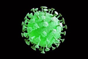 Aiškinasi, kada iš tiesų pradėjo plisti naujasis koronavirusas