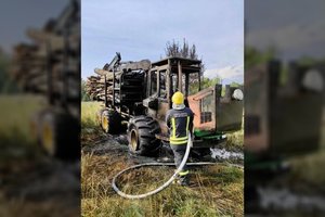 Ukmergės rajono laukuose sudegė rąstus gabenęs miškavežis